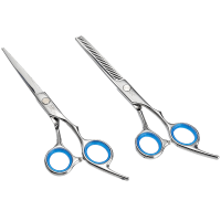Professional Hair Fixer Set Hair Cutting Scissors