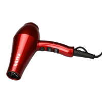 Berta Professional Blow Dryer