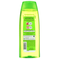Garnier Fructis