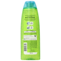 Garnier Fructis
