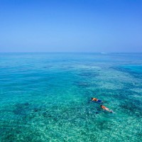 Diving Adventure