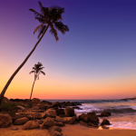 ARUBA