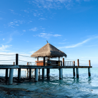 Beauty Of Solomon Island And Love