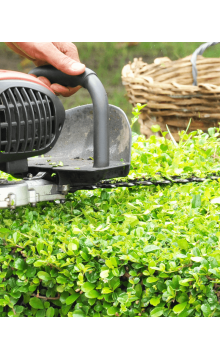 Lawnmower equates shrub in the garden