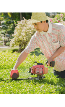 Lawnmower equates shrub in the garden