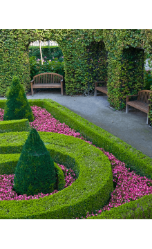Lawnmower equates shrub in the garden