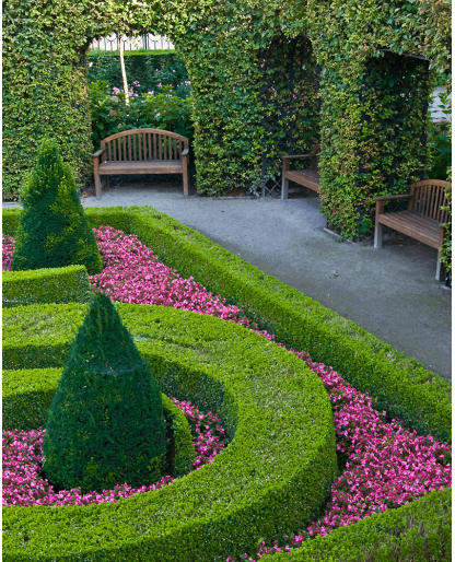 Lawnmower equates shrub in the garden