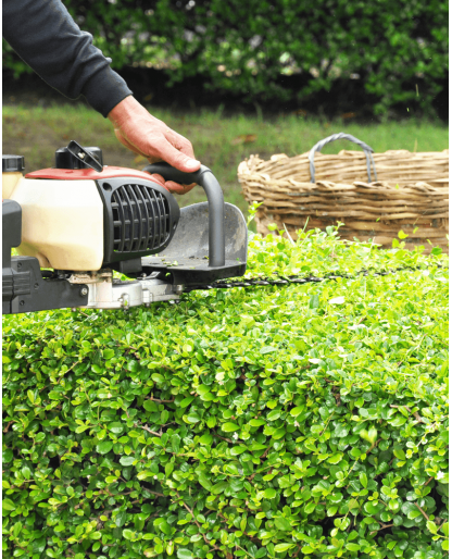 Lawnmower equates shrub in the garden