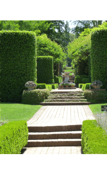 Lawnmower equates shrub in the garden