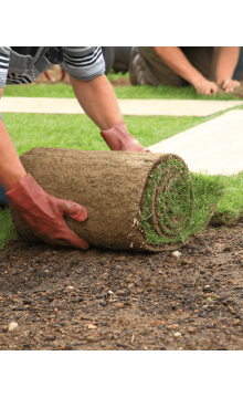 Laying sod for new lawn