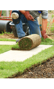 Laying sod for new lawn