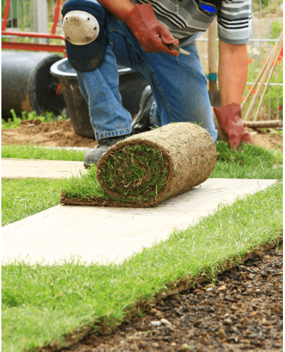 Laying sod for new lawn