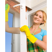Window cleaning 
