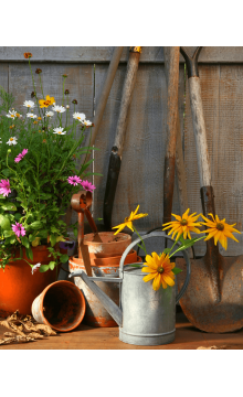 Gardener caring of flowers outdoor
