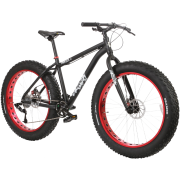 1.0 Fat Bike