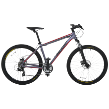 Mountain Bike MTB 24 Speed