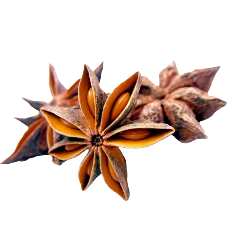 Nullam iaculis