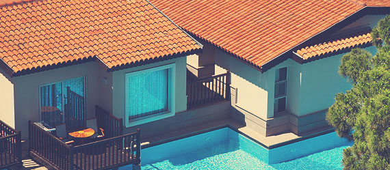 banner-1