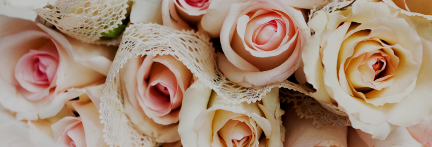 banner-2