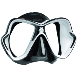 Vestibulum id tin