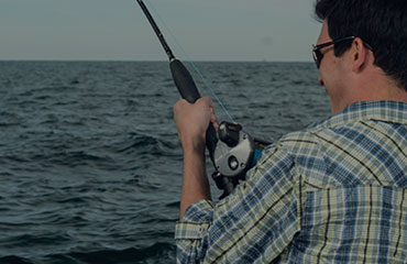 banner-2