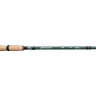 Vestibulum convallis (3)