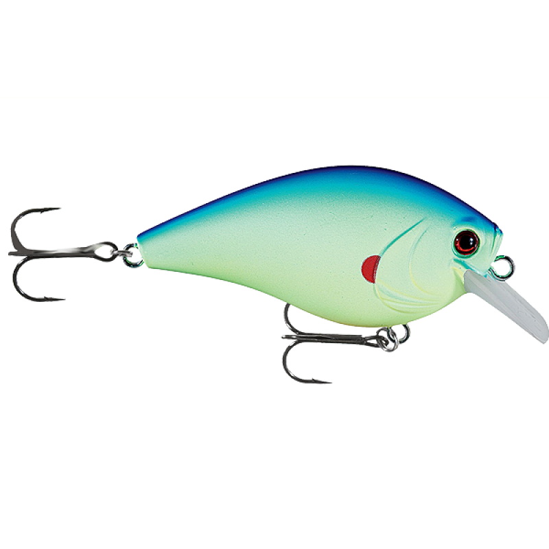 Nullam iaculis