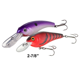 Phasellus vel scelerisque