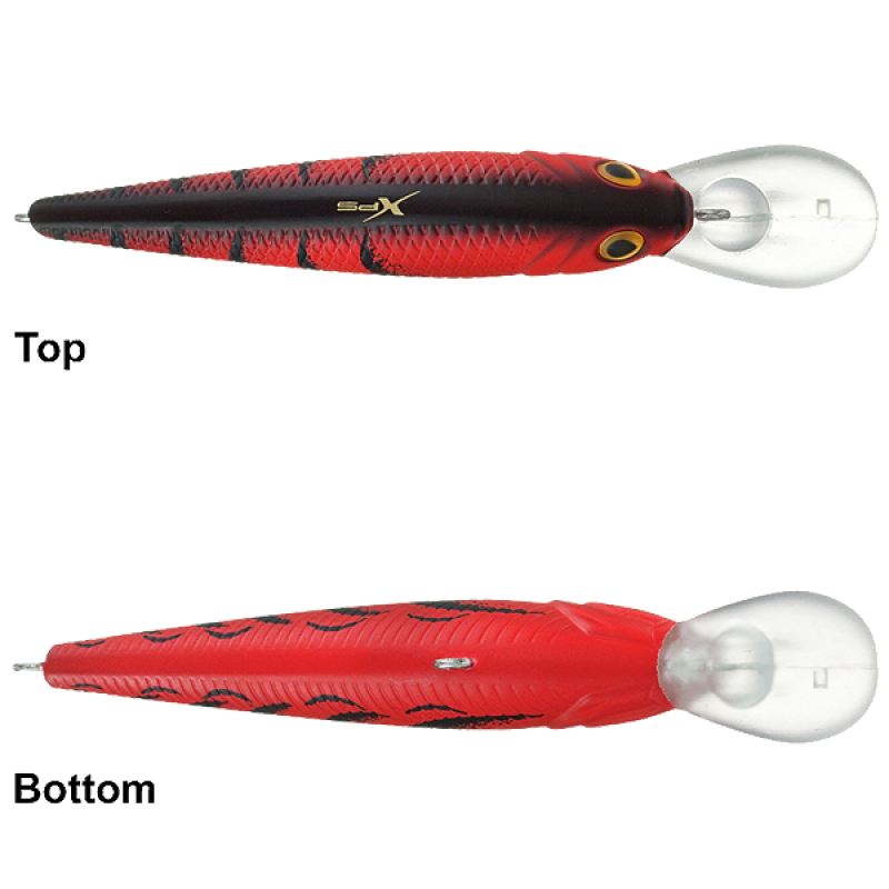 Phasellus vel scelerisque