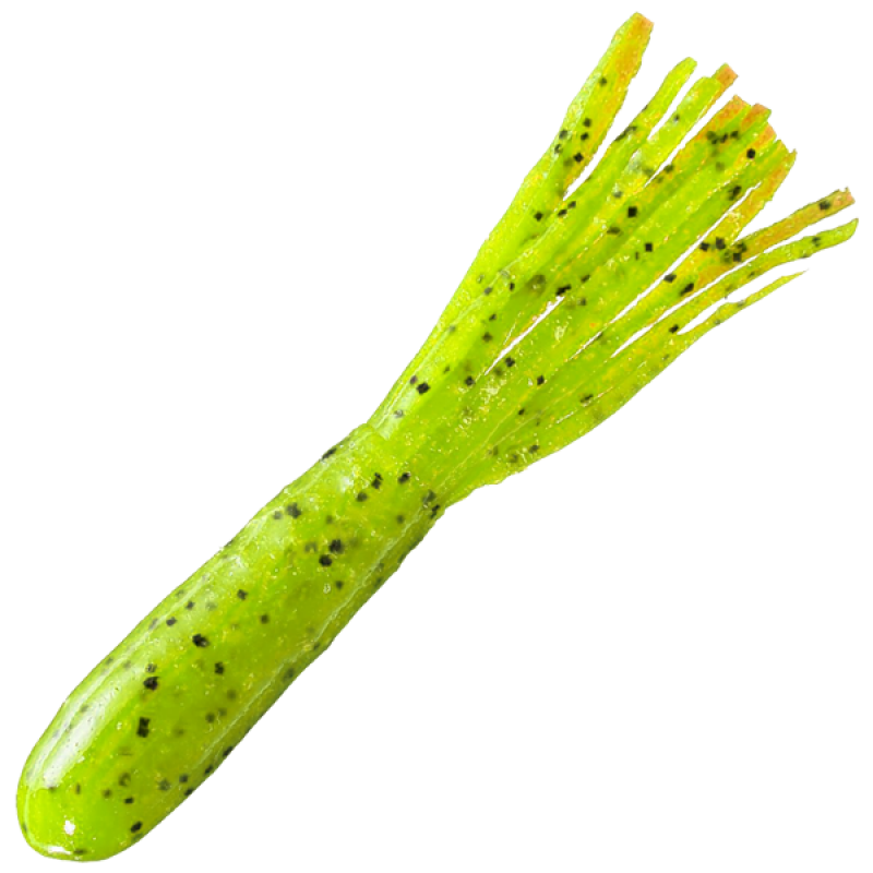 Praesent imperdiet