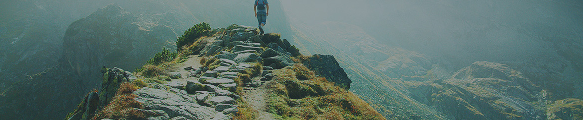 banner-4