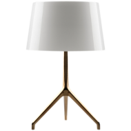 Ceiling fixtures 