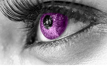 banner-1