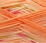 Praesent vestibulum