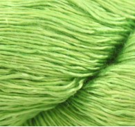 Maecenas tristique orci