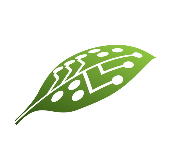 Dolore ipsum commete