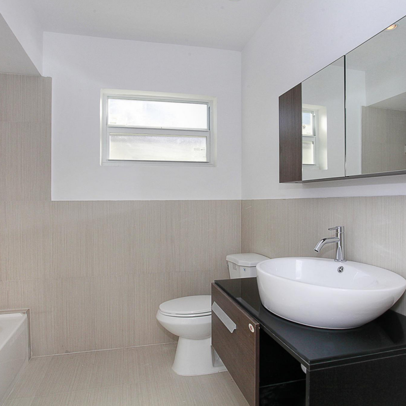 Vehicula libero sed
