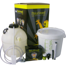 Aenean viverra