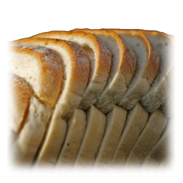 Dolore ipsum commete