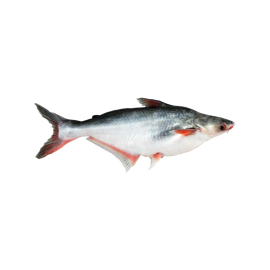 Delore Nilertyas