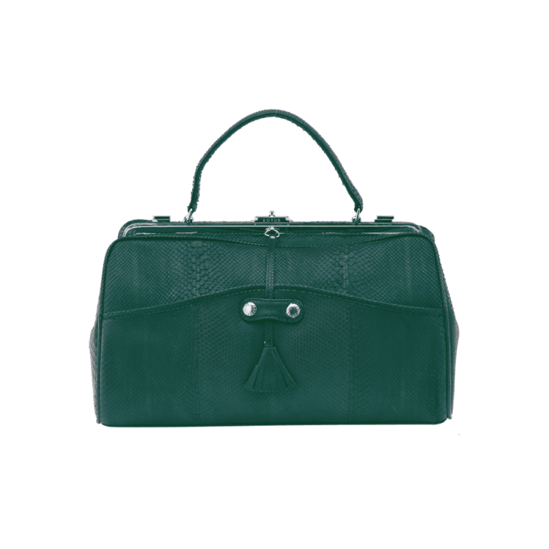 Snakeskin day bag