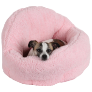 Flea & Tick (3)