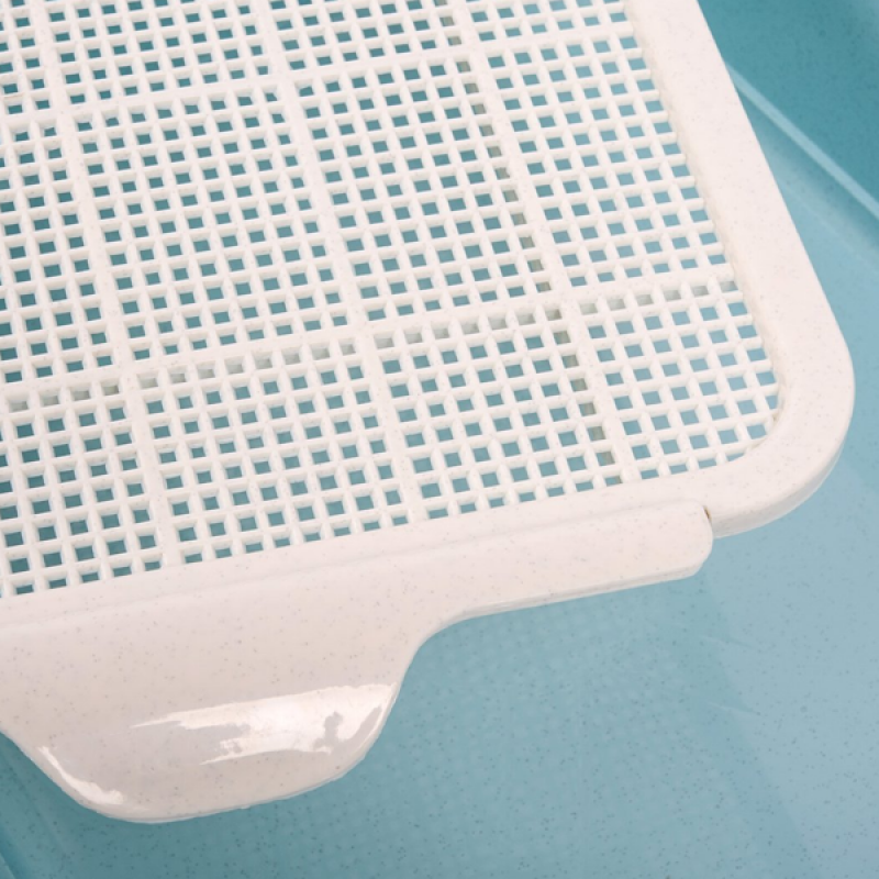 Favorite Dog Protection Plastic Training Tray