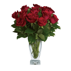 Classic Roses Classic Roses