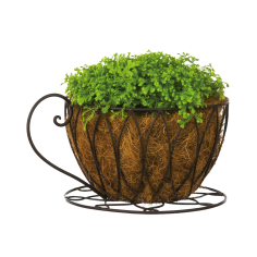 Coffee Cup Planter