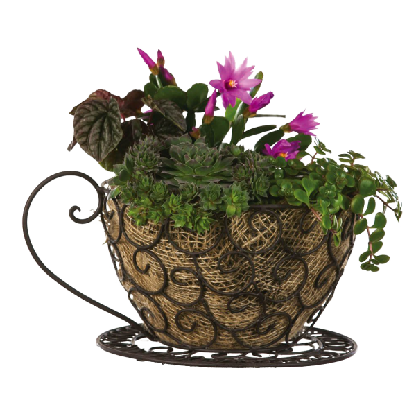 Coffee Cup Planter