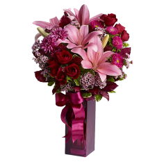 Asiatic Lilies
