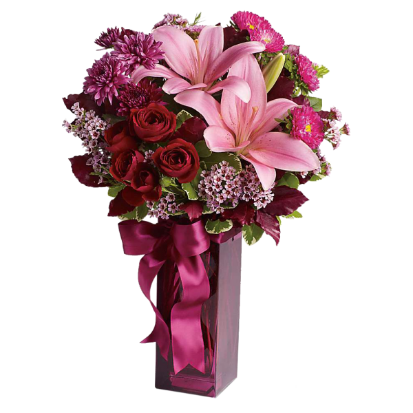 Asiatic Lilies