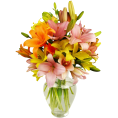 12 Stem Assorted Asiatic Lily Bunch 12 Stem Assorted Asiatic Lily Bunch