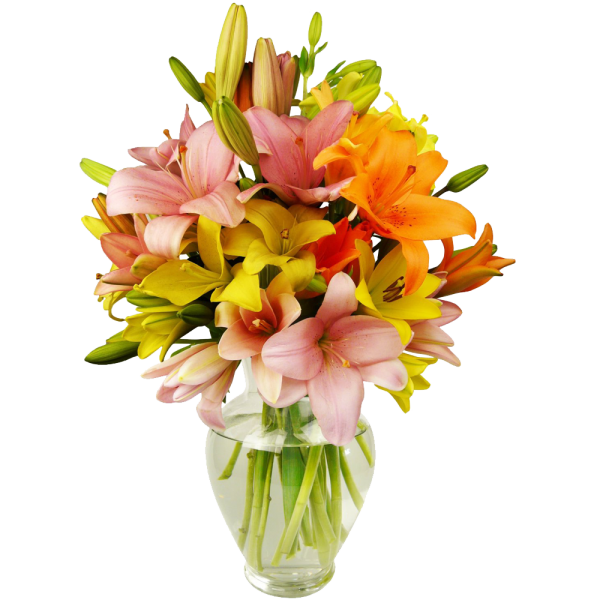12 Stem Assorted Asiatic Lily Bunch